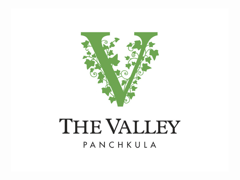The Valley